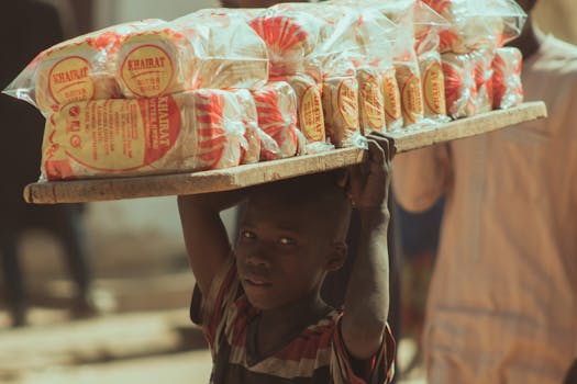 Registrácia v katalógoch: Nevyhnutnosť pre marketing v roku 2024